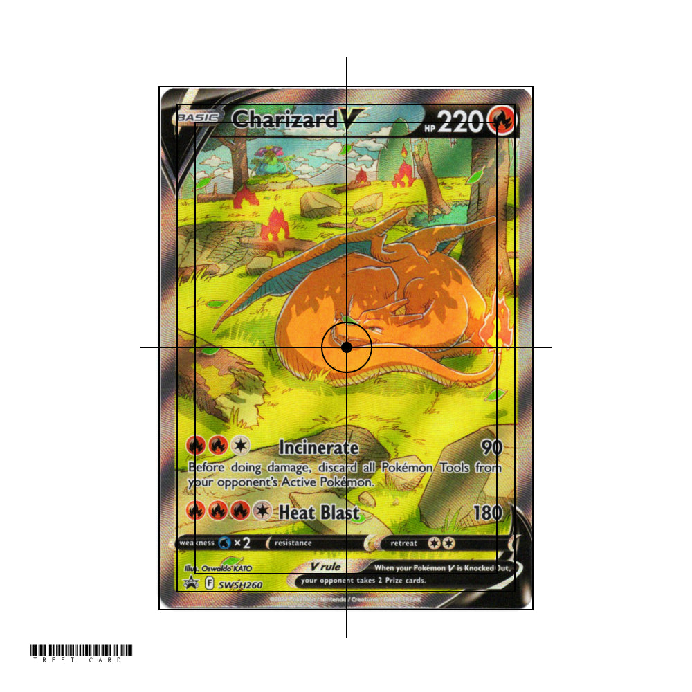 Charizard V SWSH260 Holo Promo 2022 Pokemon Ultra Premium Collection EN Pokemon Card Game PTCG