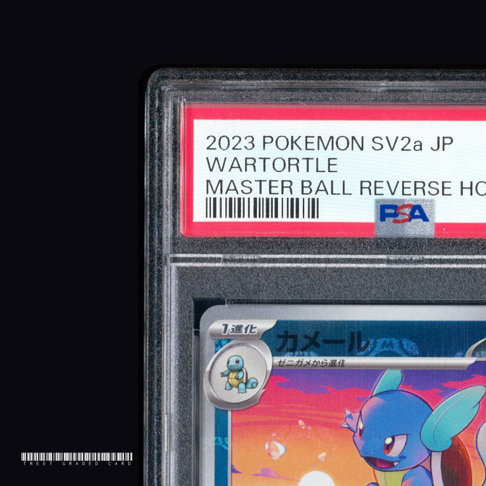 [PSA 10] Wartortle Master Ball Reverse Holo Masterball SV2a 008/165 JPN Graded Pokemon Card