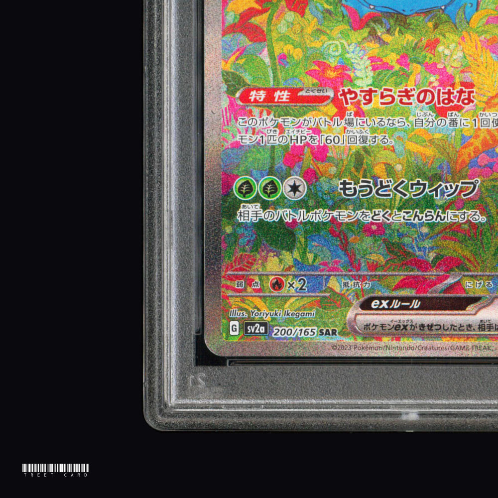 [PSA 10] Venusaur ex SV2a Pokemon Card 151 200/165 SAR Graded Pokemon Card