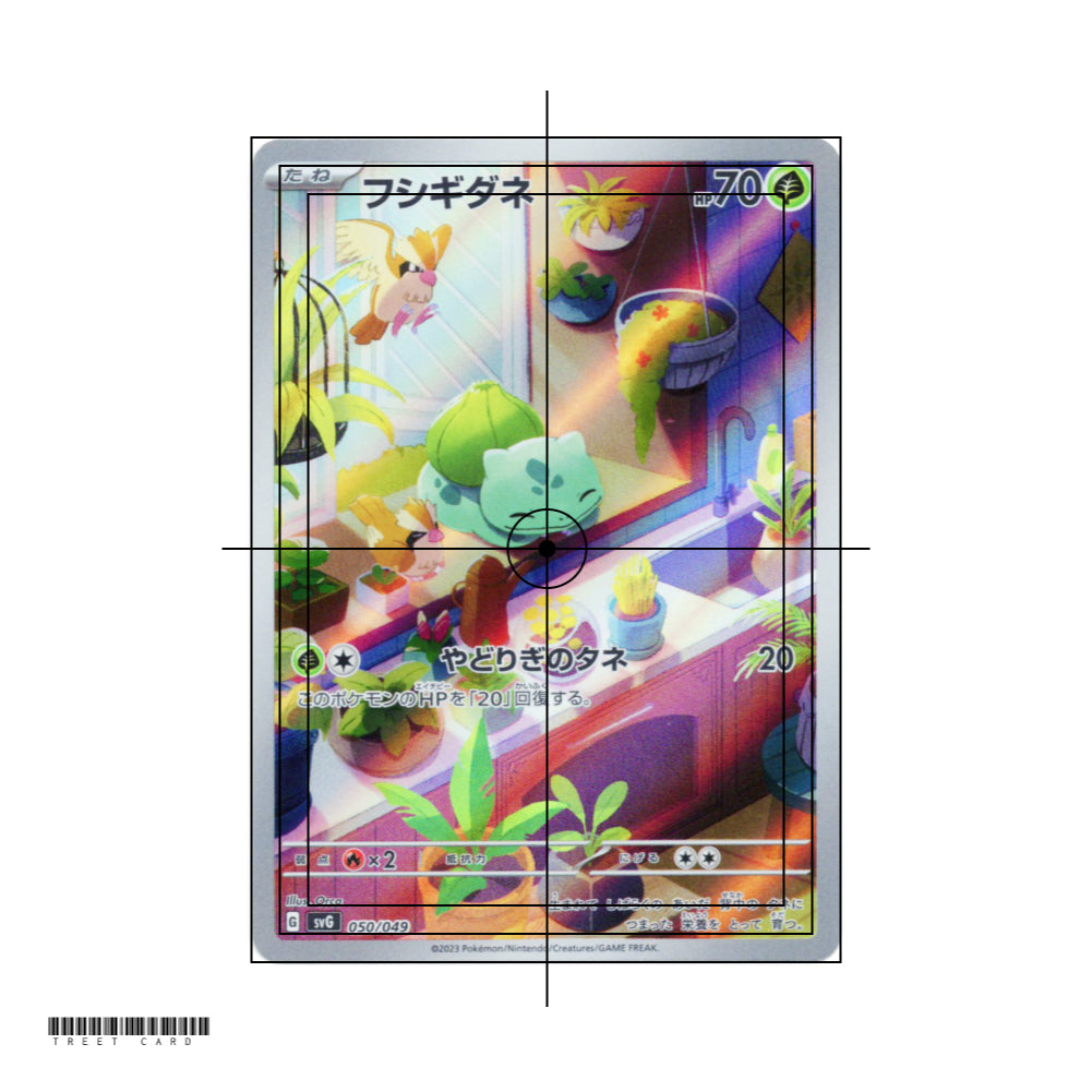 Bulbasaur [SVG] Venusaur & Charizard & Blastoise Special Deck Set ex 050/049 Pokemon Card Game PTCG